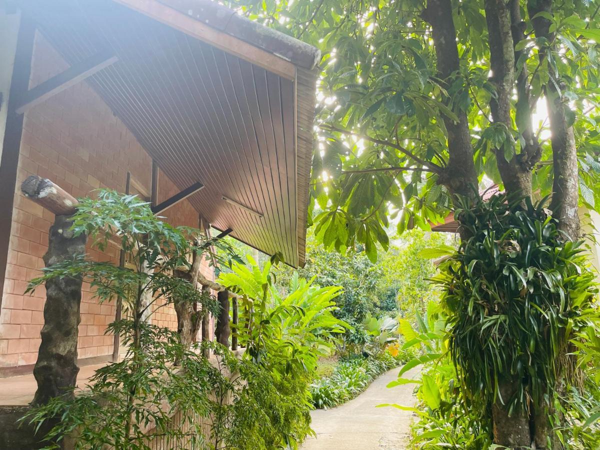 Khaosok Monkeys & River Camps Khao Sok National Park Exterior foto