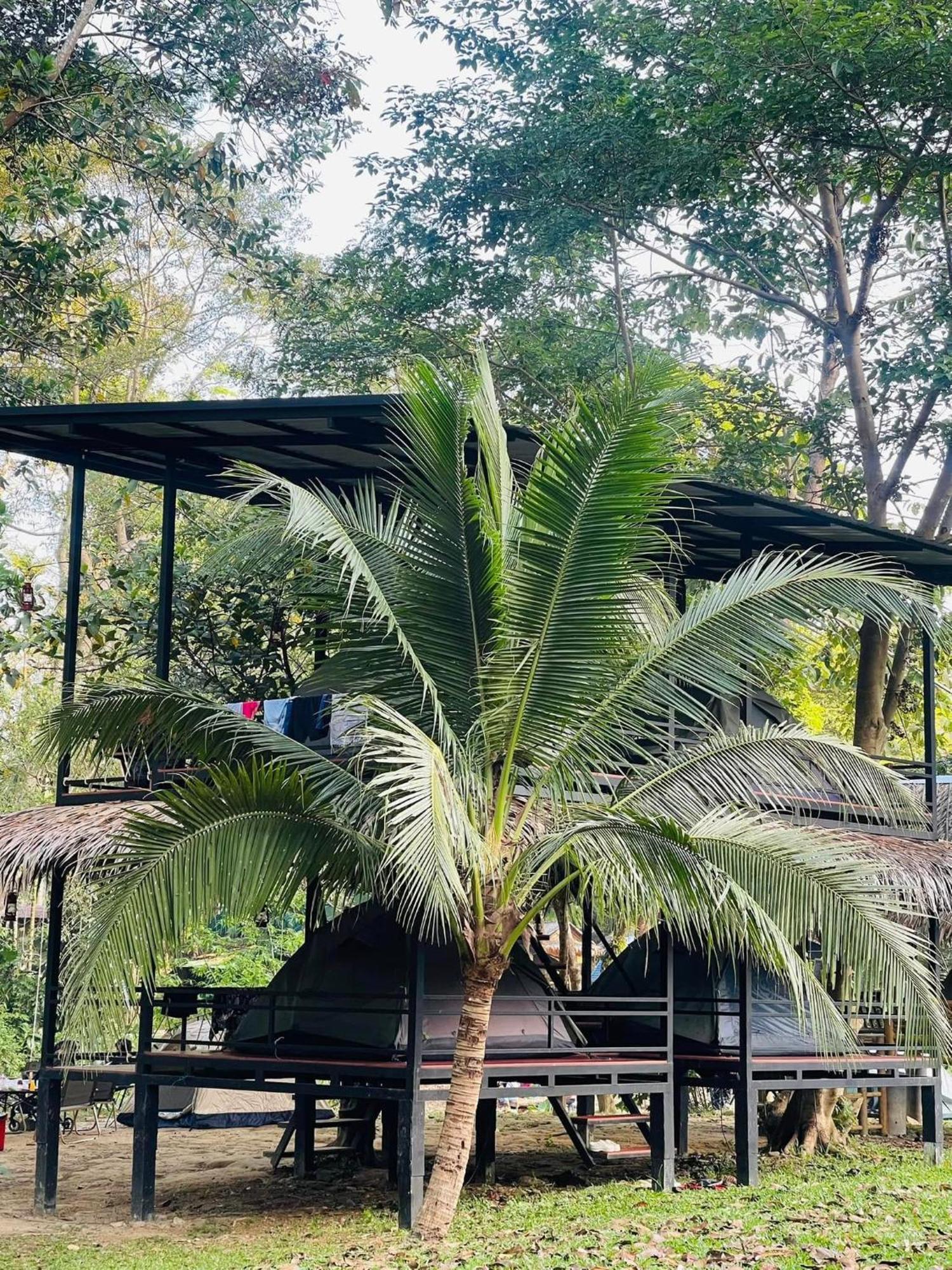 Khaosok Monkeys & River Camps Khao Sok National Park Exterior foto